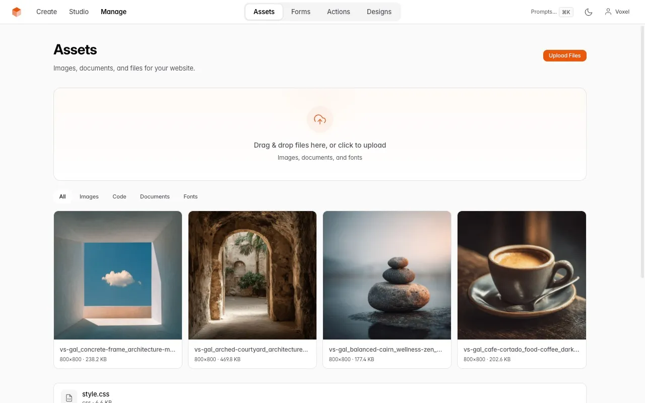 VoxelSite — Asset manager with image gallery